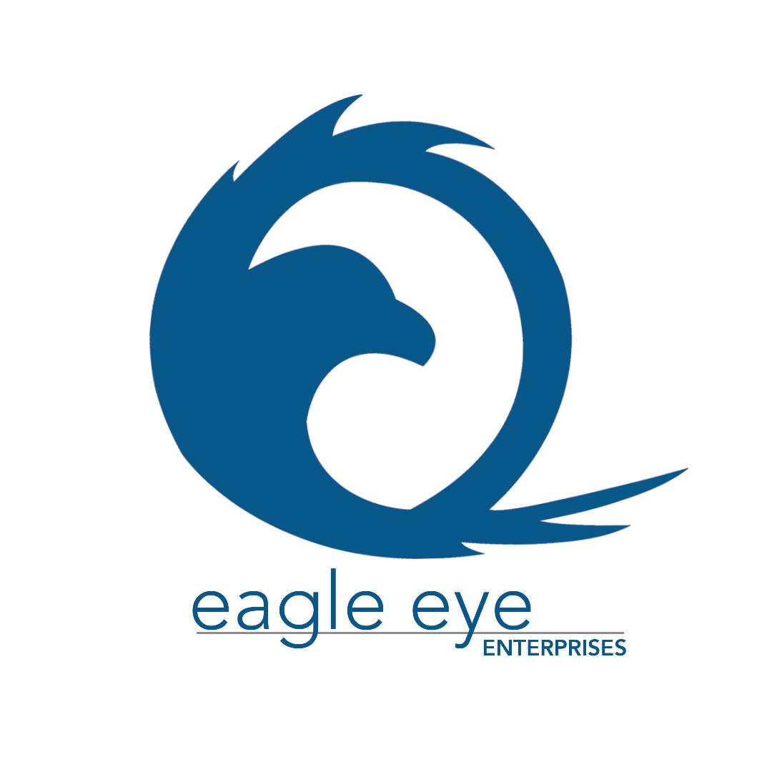 Eagle Eye Enterprise Group LLC logo
