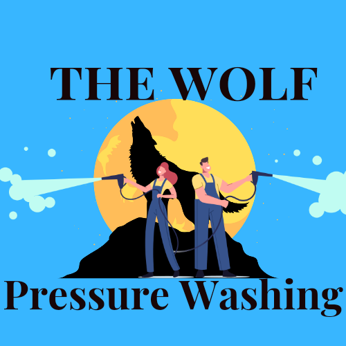 Logo for The Wolf Pressure Washer