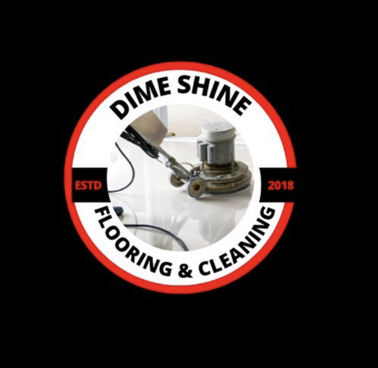 Dime Shine logo