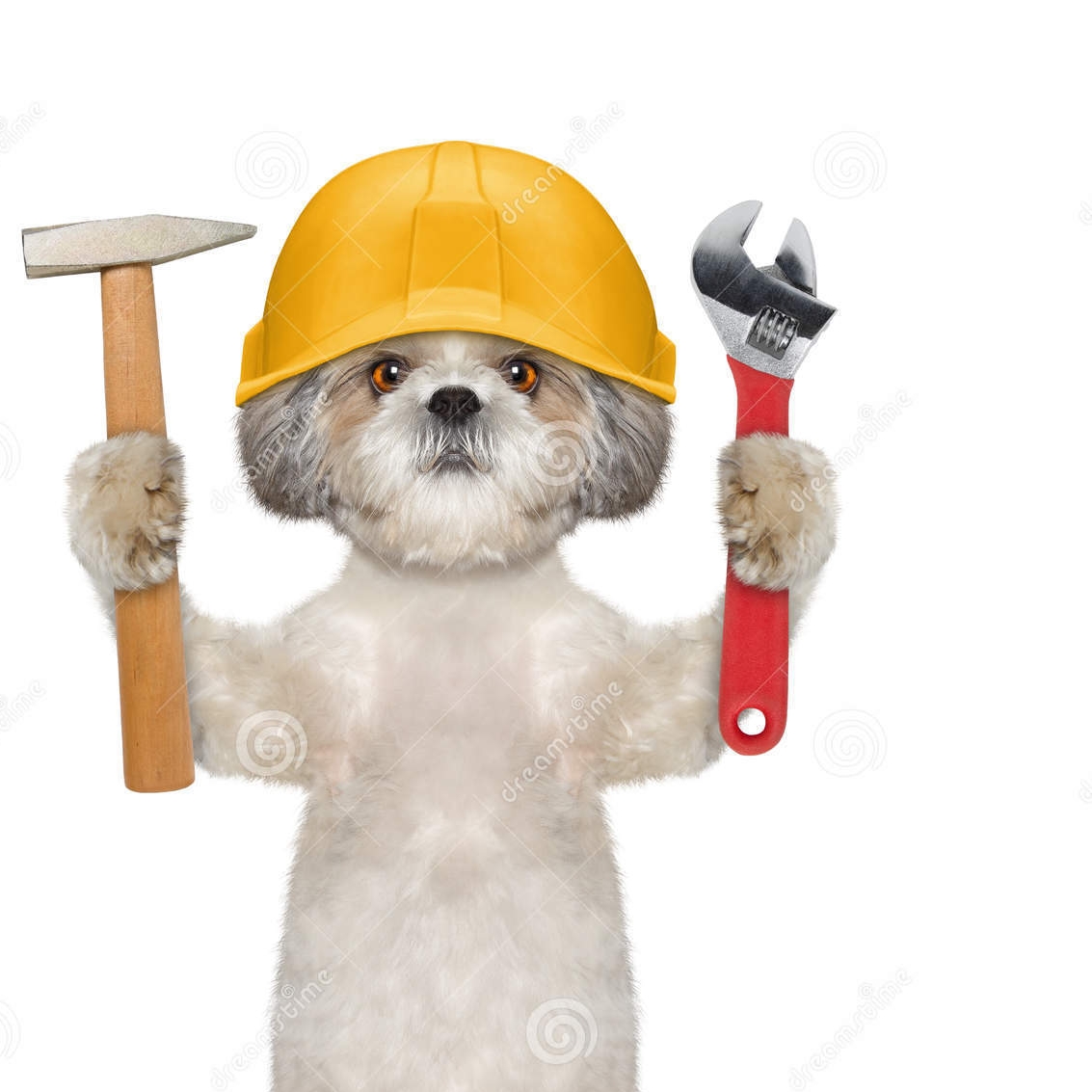 Logo for BB construccion