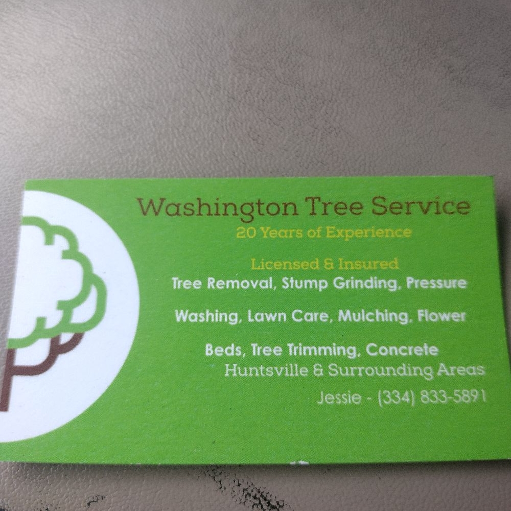 Avatar for Washington Tree Service