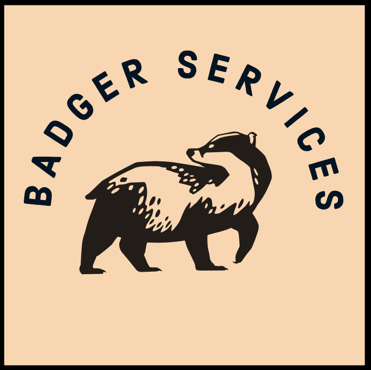Badger Services logo