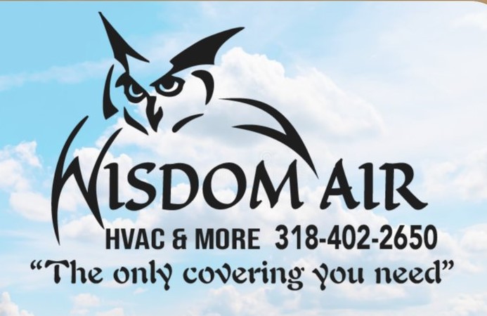 Wisdom Air logo