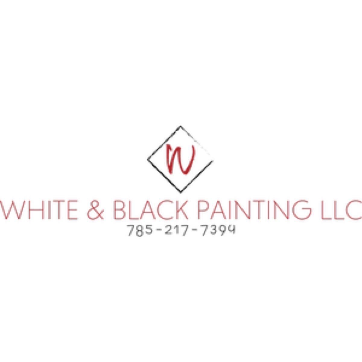 White & Black Painting LLC logo
