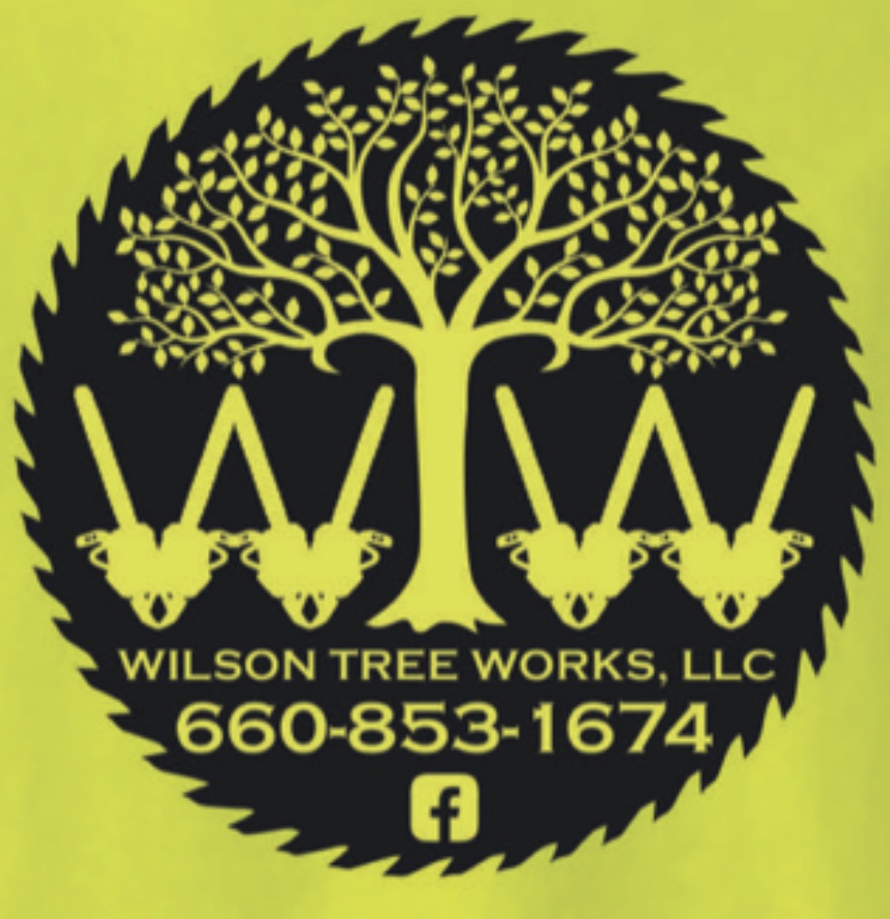 Avatar for Wilson Tree Works LLC