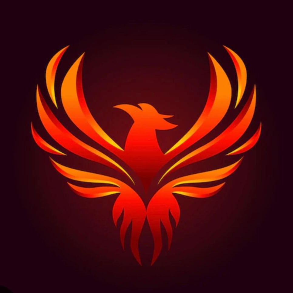 Avatar for Phoenix Solar LLC
