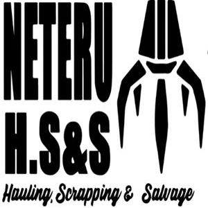 Neteru H.S&S logo