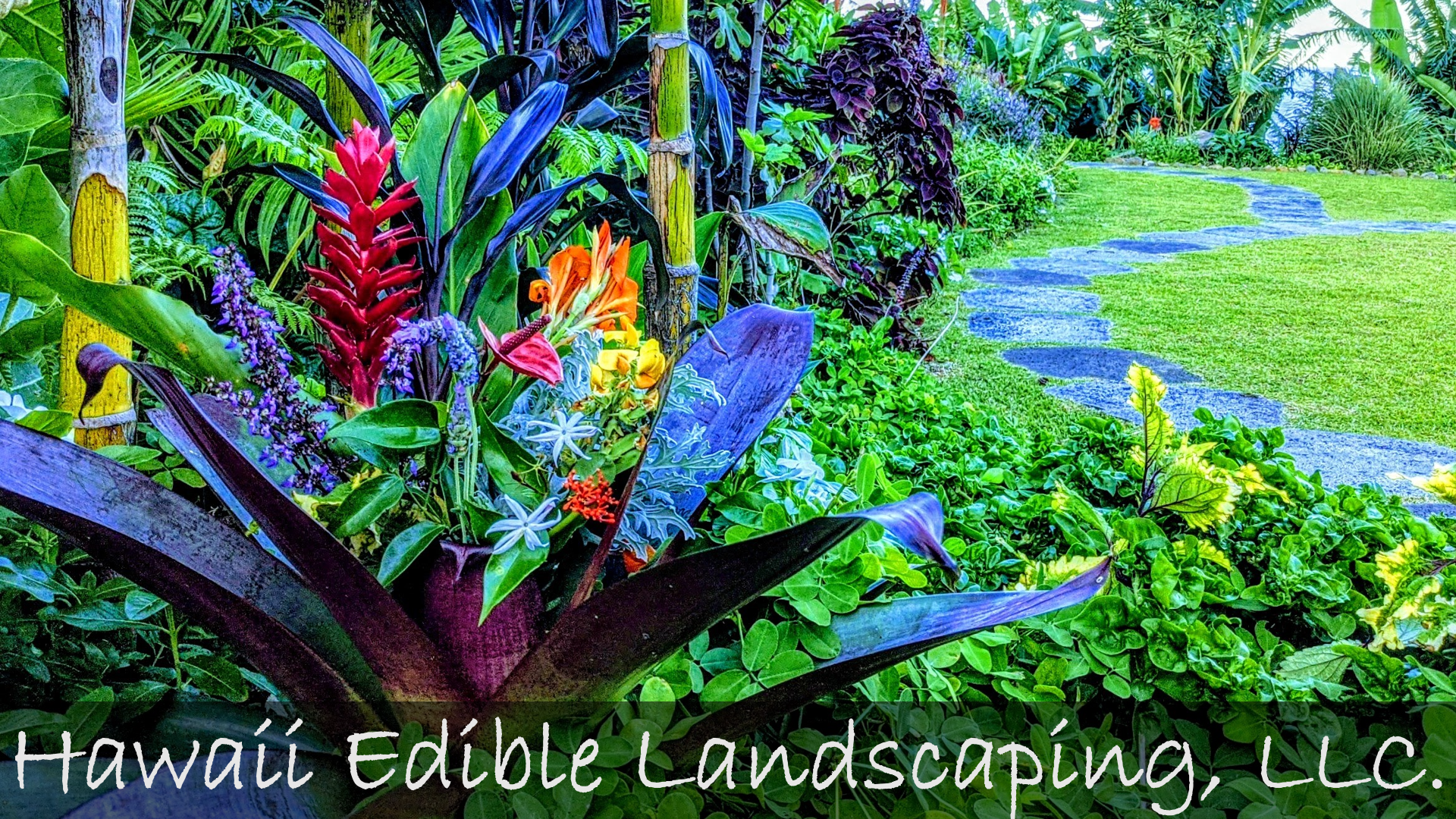 Hawaii Edible Landscaping, LLC. logo