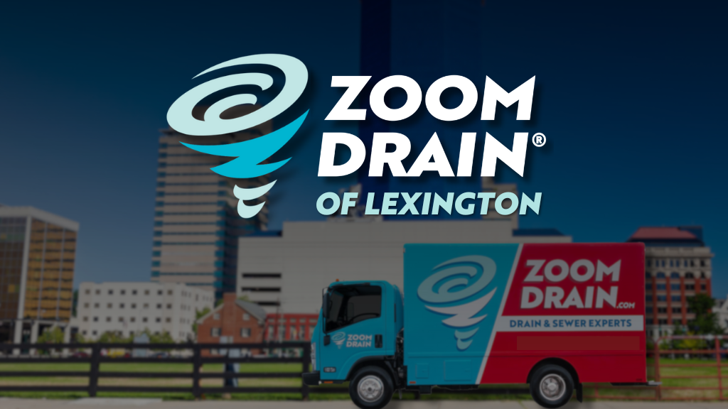 Zoom Drain logo