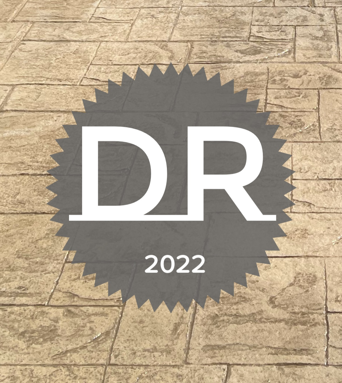 DR Services logo