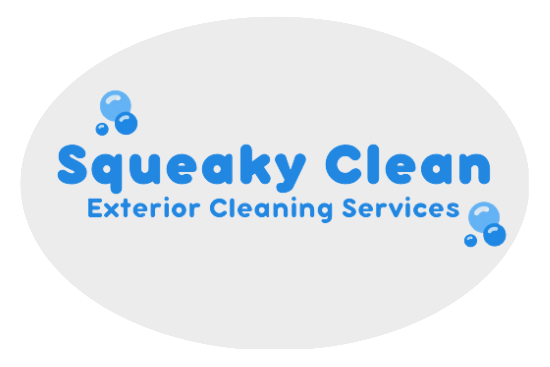 Squeaky Clean logo