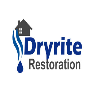 Avatar for DryRite Restoration LLC
