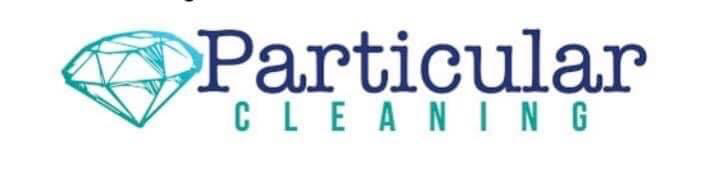 Avatar for Particular Cleaning