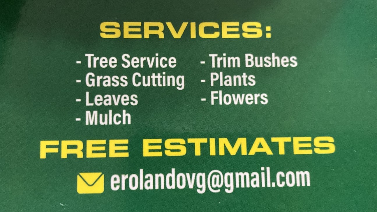 Avatar for Vega landscaping