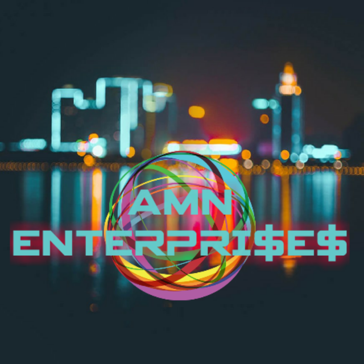 AMN Enterprises logo