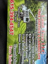 Land Tree LLC logo