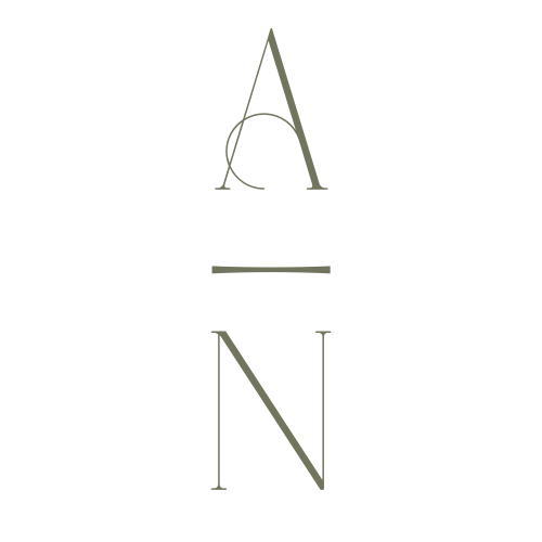 Ashley Nielsen Studio logo