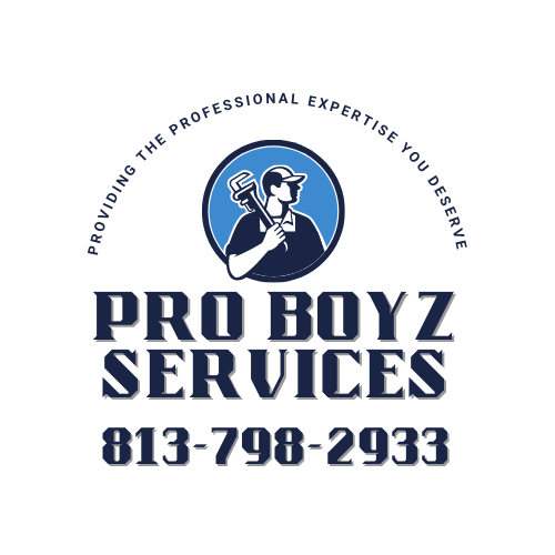 Pro Boyz Services logo