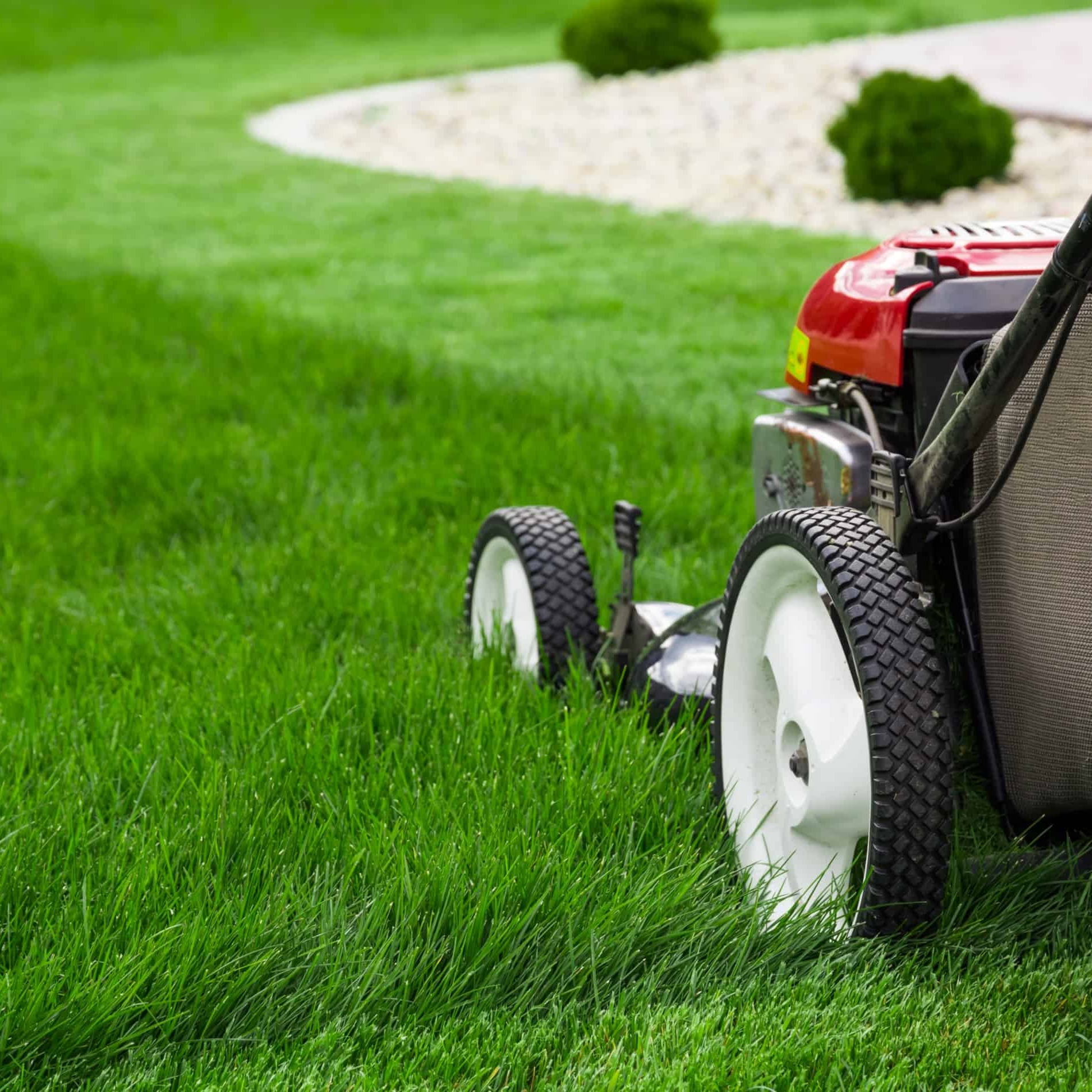 Uncle Dave's Lawn Services logo