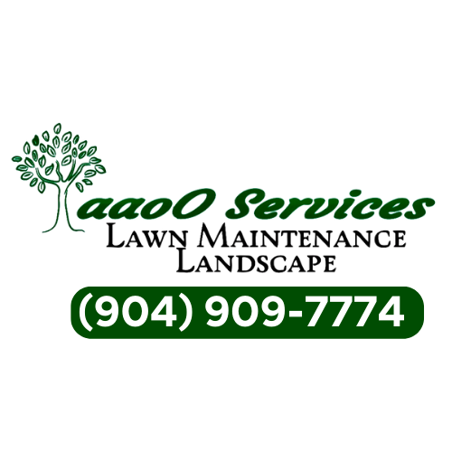 aaoo services logo