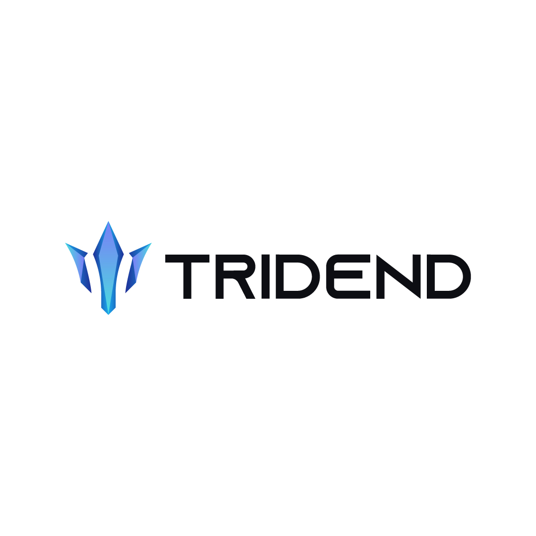 Tridend Technologies logo