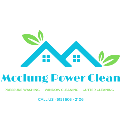Mcclung Power Clean logo