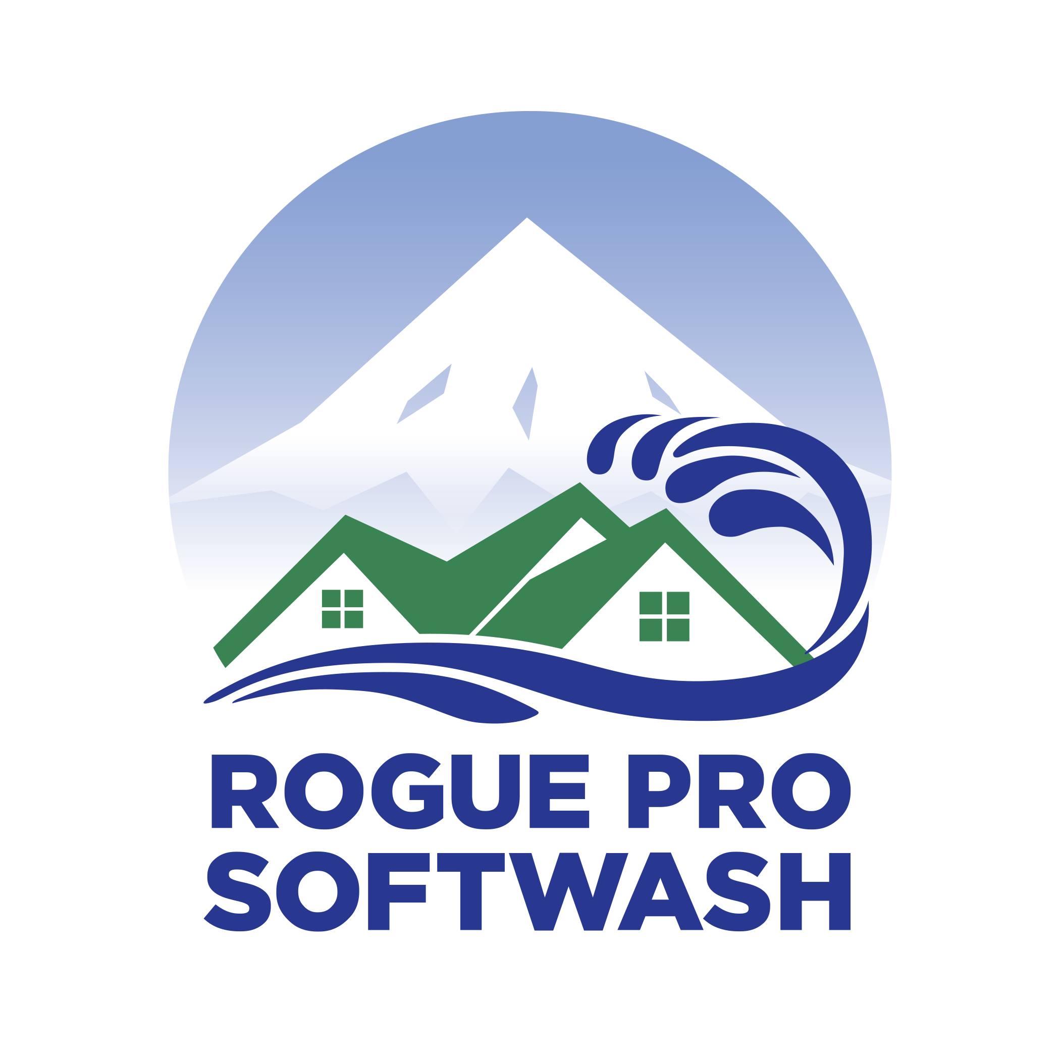Rogue Pro Softwash logo