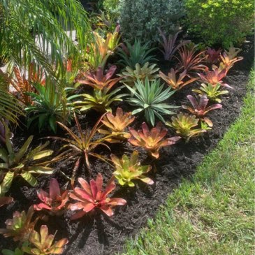 Mainor Landscaping Service LLC logo
