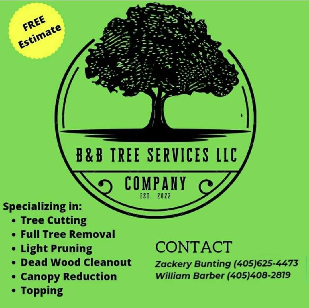 Avatar for B & B Tree Services LLC