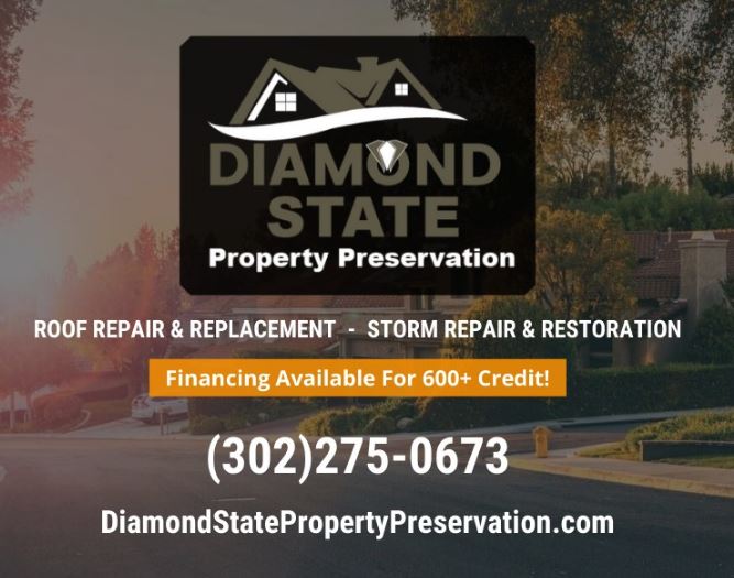 Diamond State Property Preservation logo