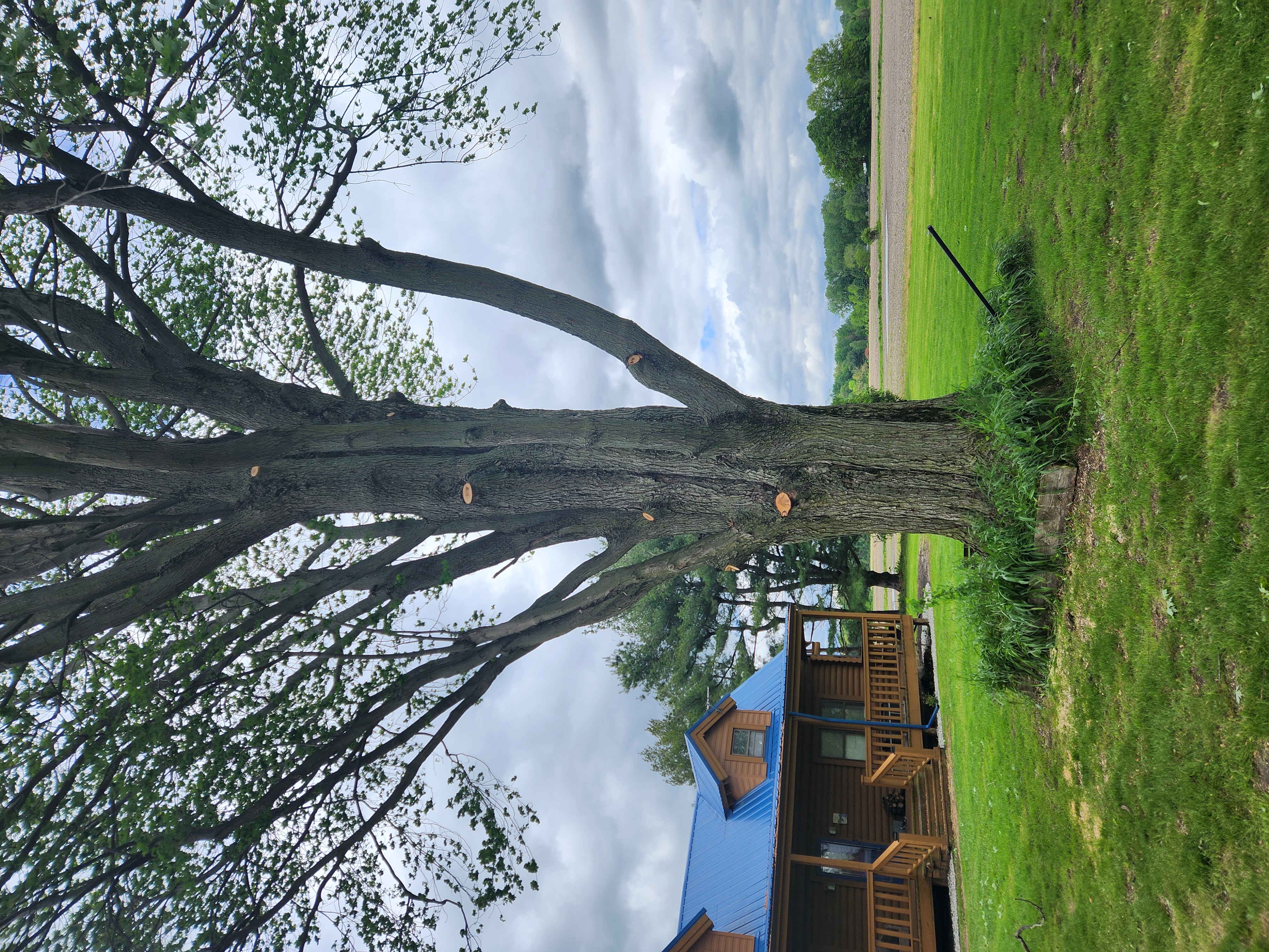 Gearhart Tree Service LLC logo