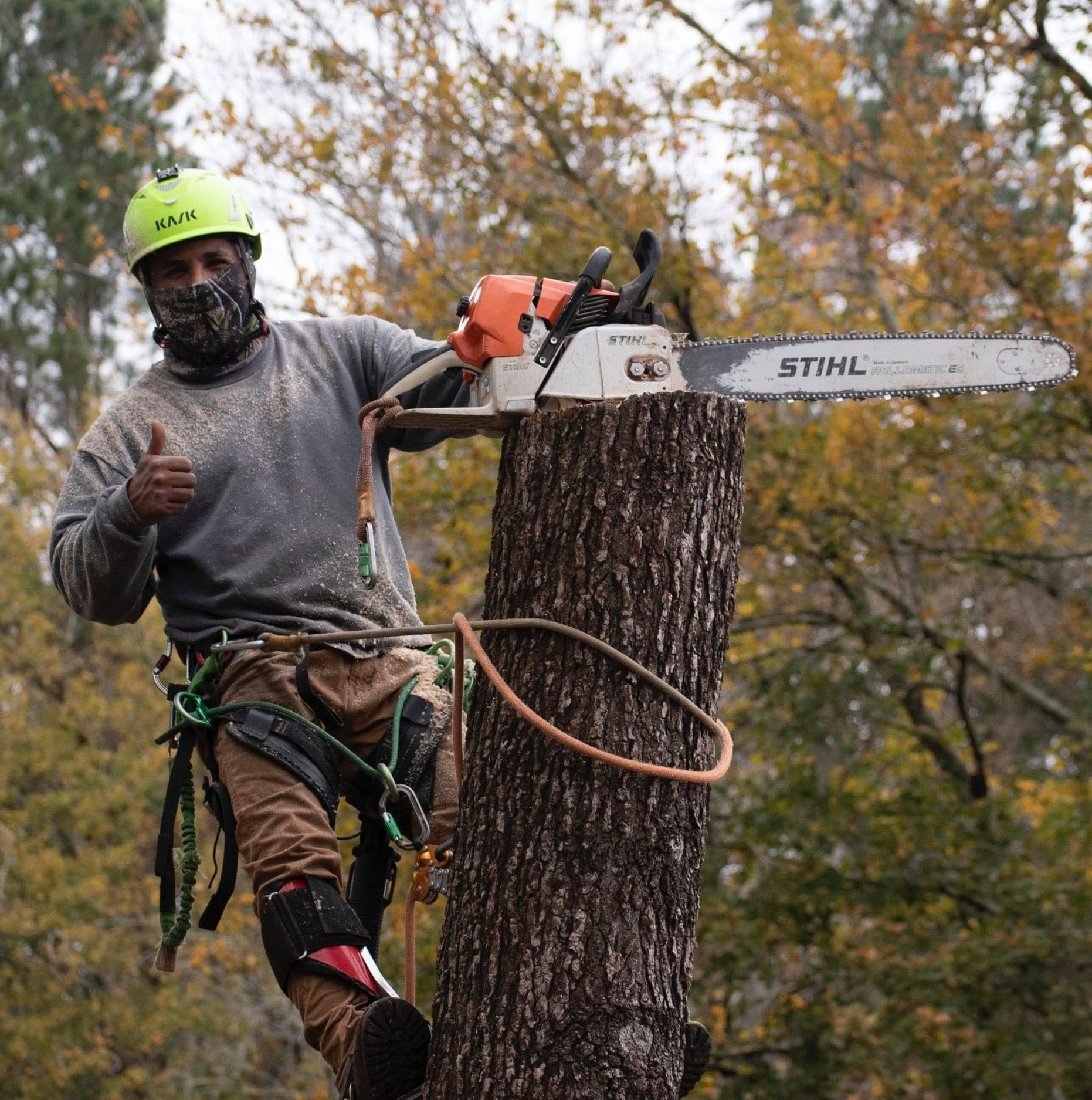 Grand Oaks Tree Service LLC logo