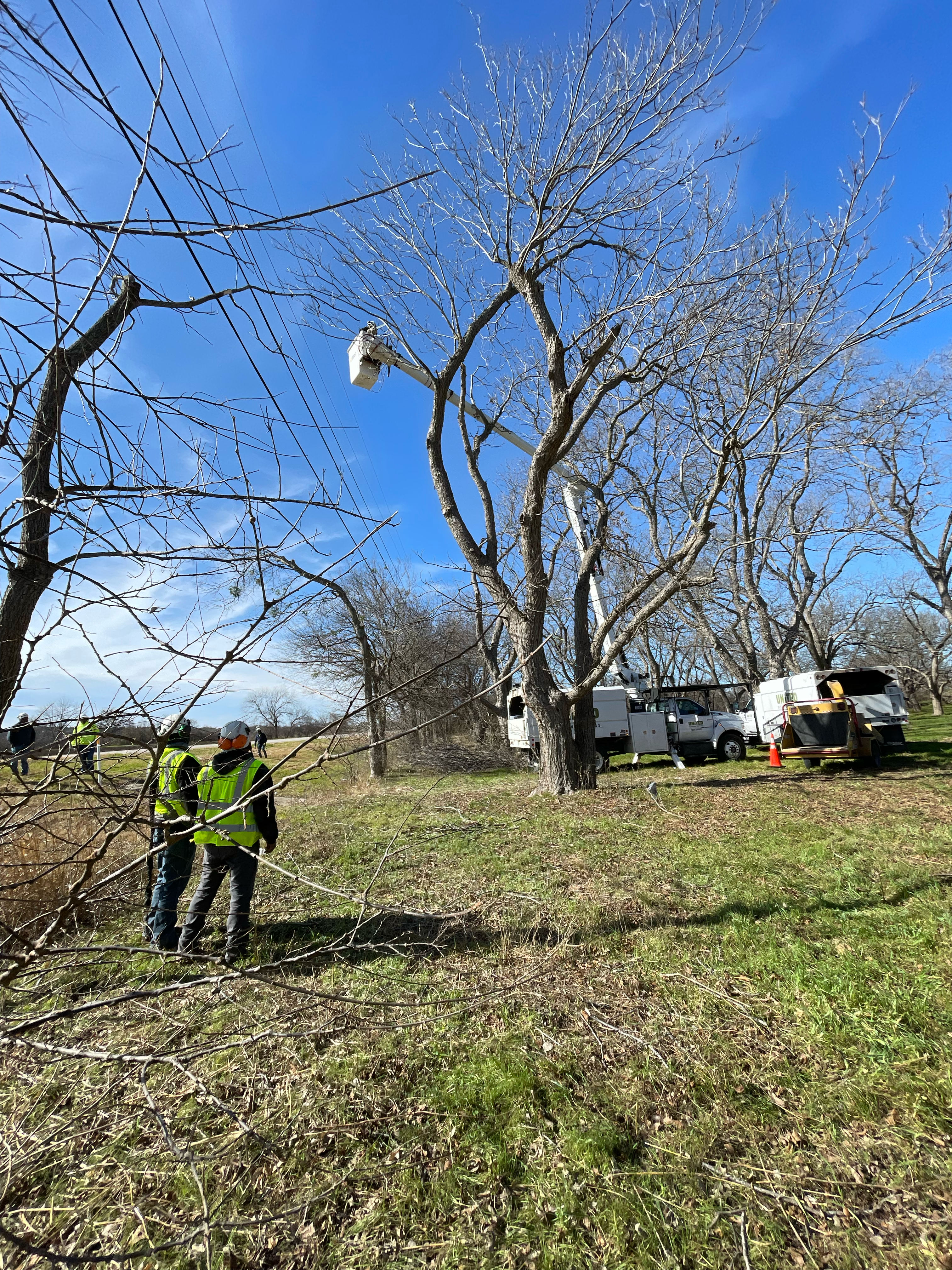 Avatar for First Choice Tree Service