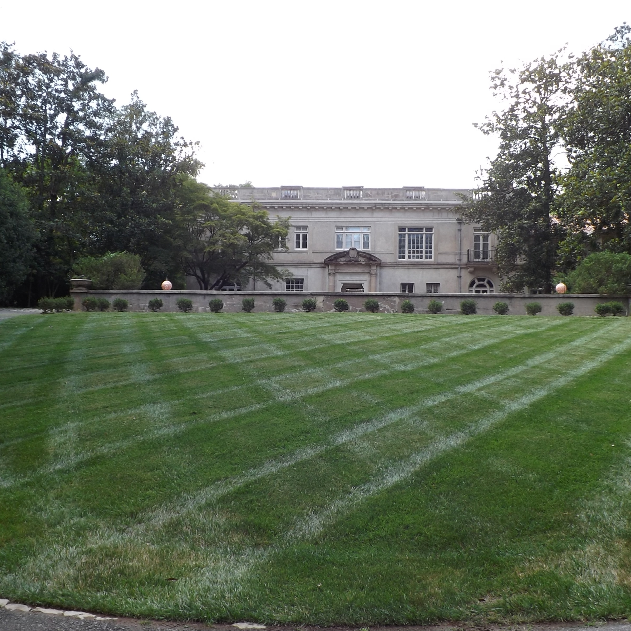 Avatar for Lawn & landscaping service