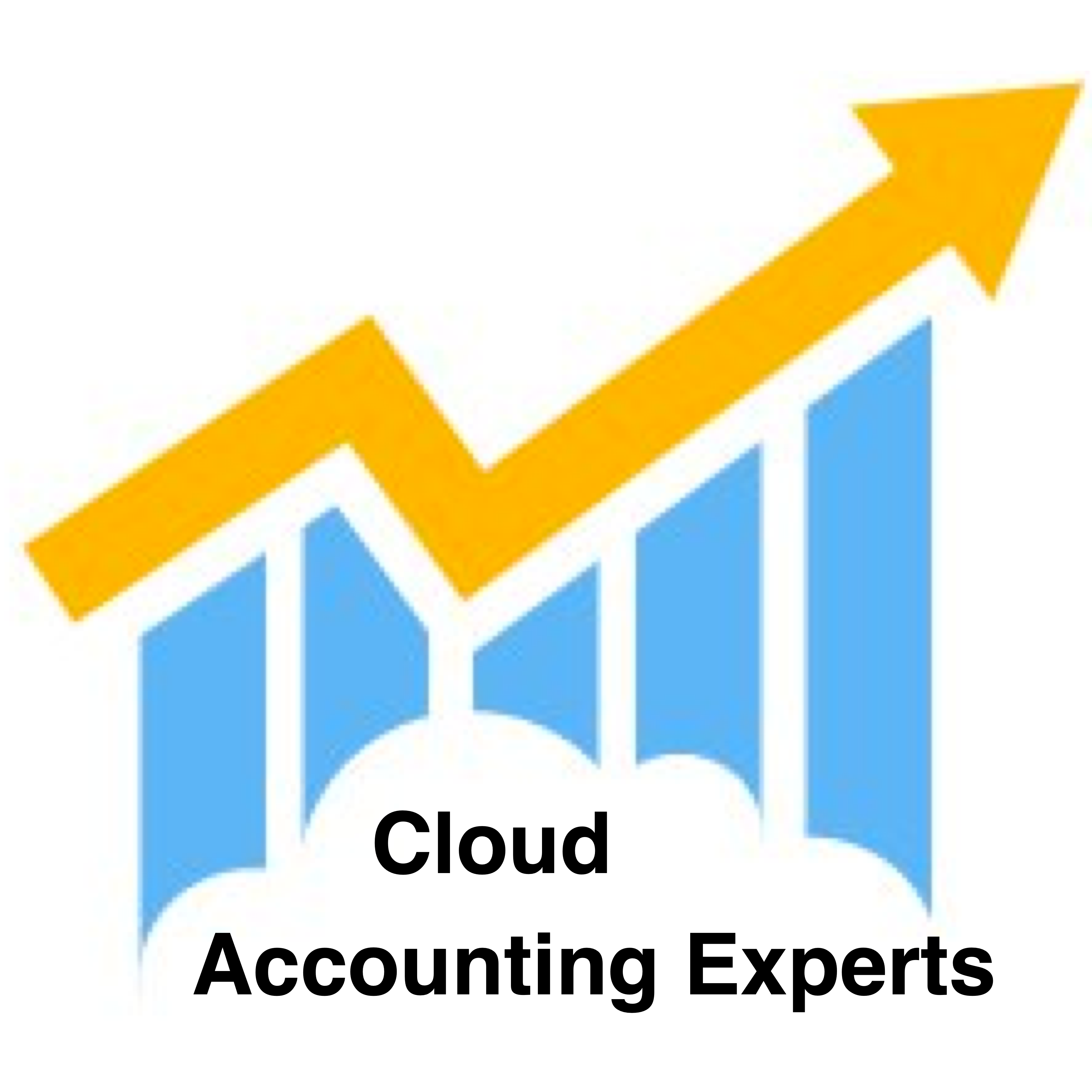 Cloud Accounting Experts LLC logo