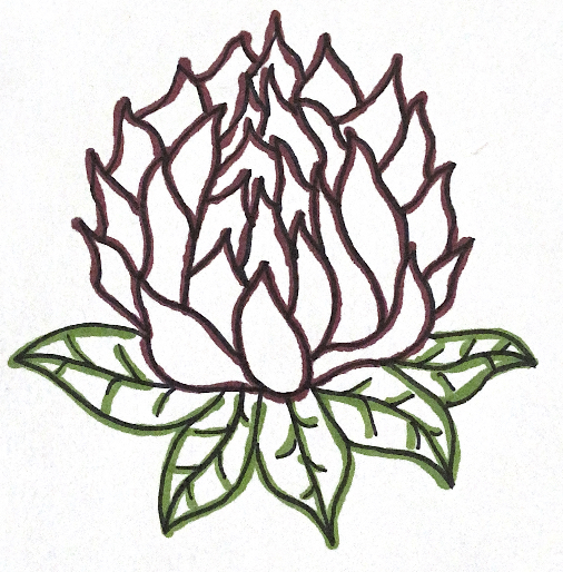 Red Clover Landscape Design and Consultation logo