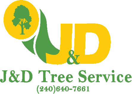 Avatar for J & D Tree Service LLC