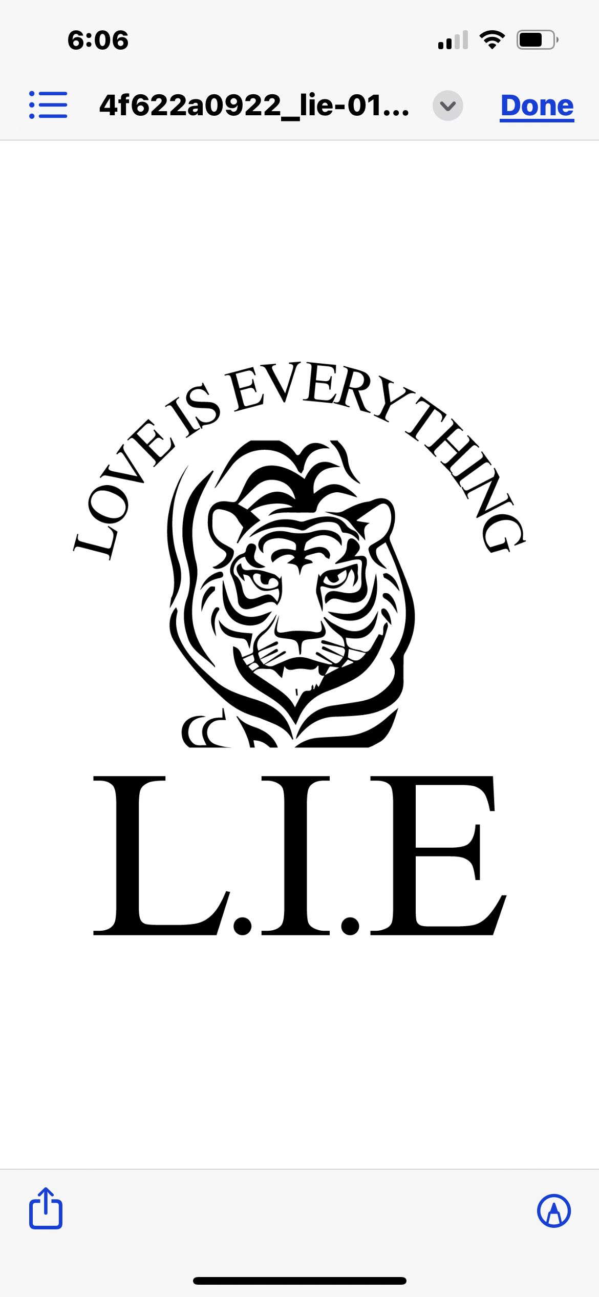 Love Is Everything logo