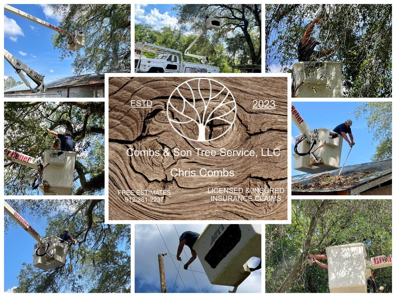 Combs & Son Tree Service, LLC logo