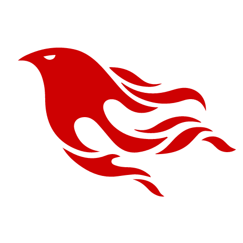 Logo for Rising SB Logistics