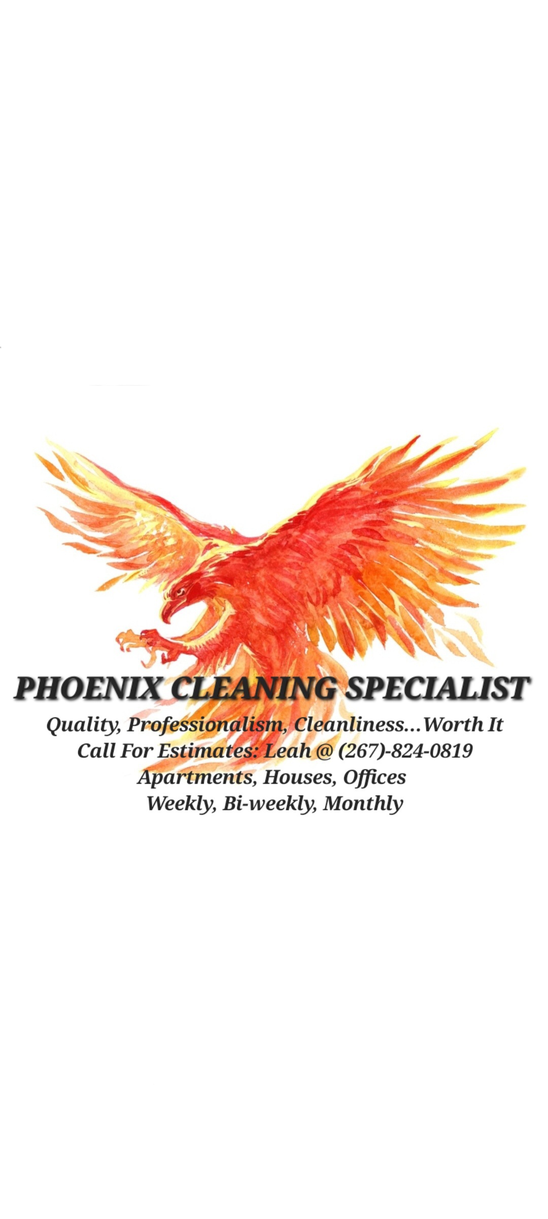 Phoenix Cleaning Specialist LLC logo