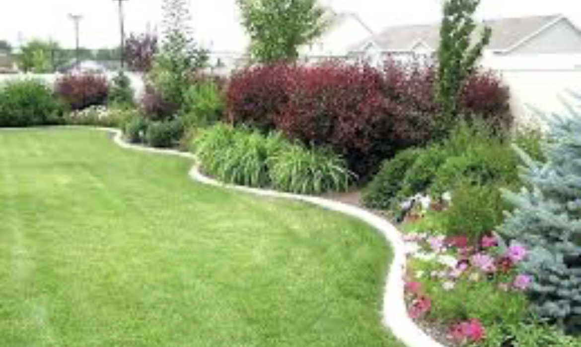 E&S Pressure Washing & Lawn Care logo