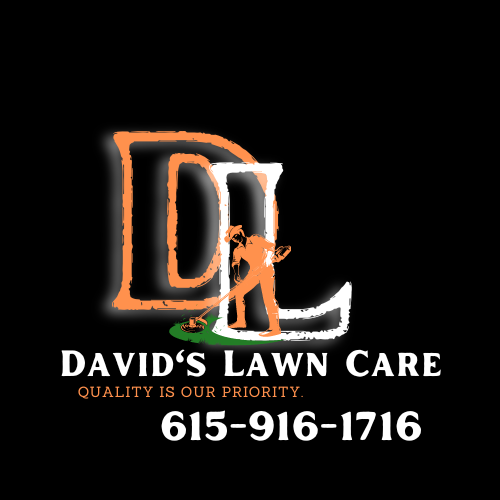 David's Lawn Care logo