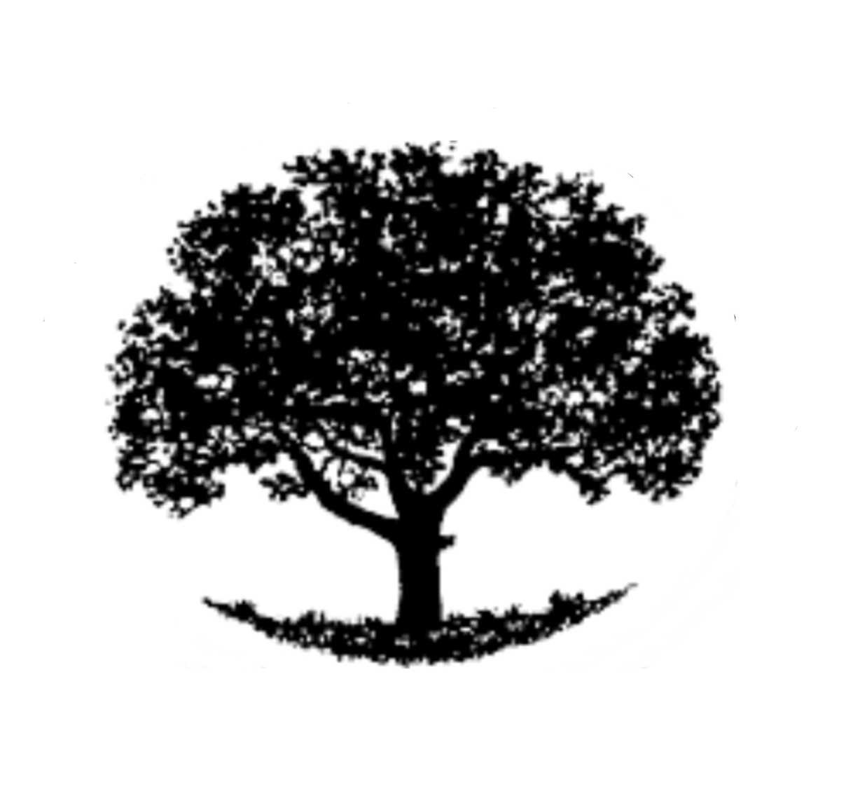 Pecan Construction Group logo