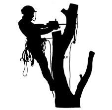 McTaggart's Tree Service logo