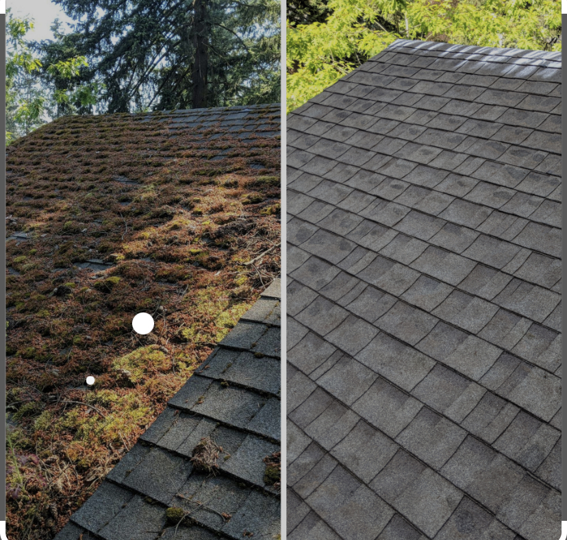 Roof and gutter care logo