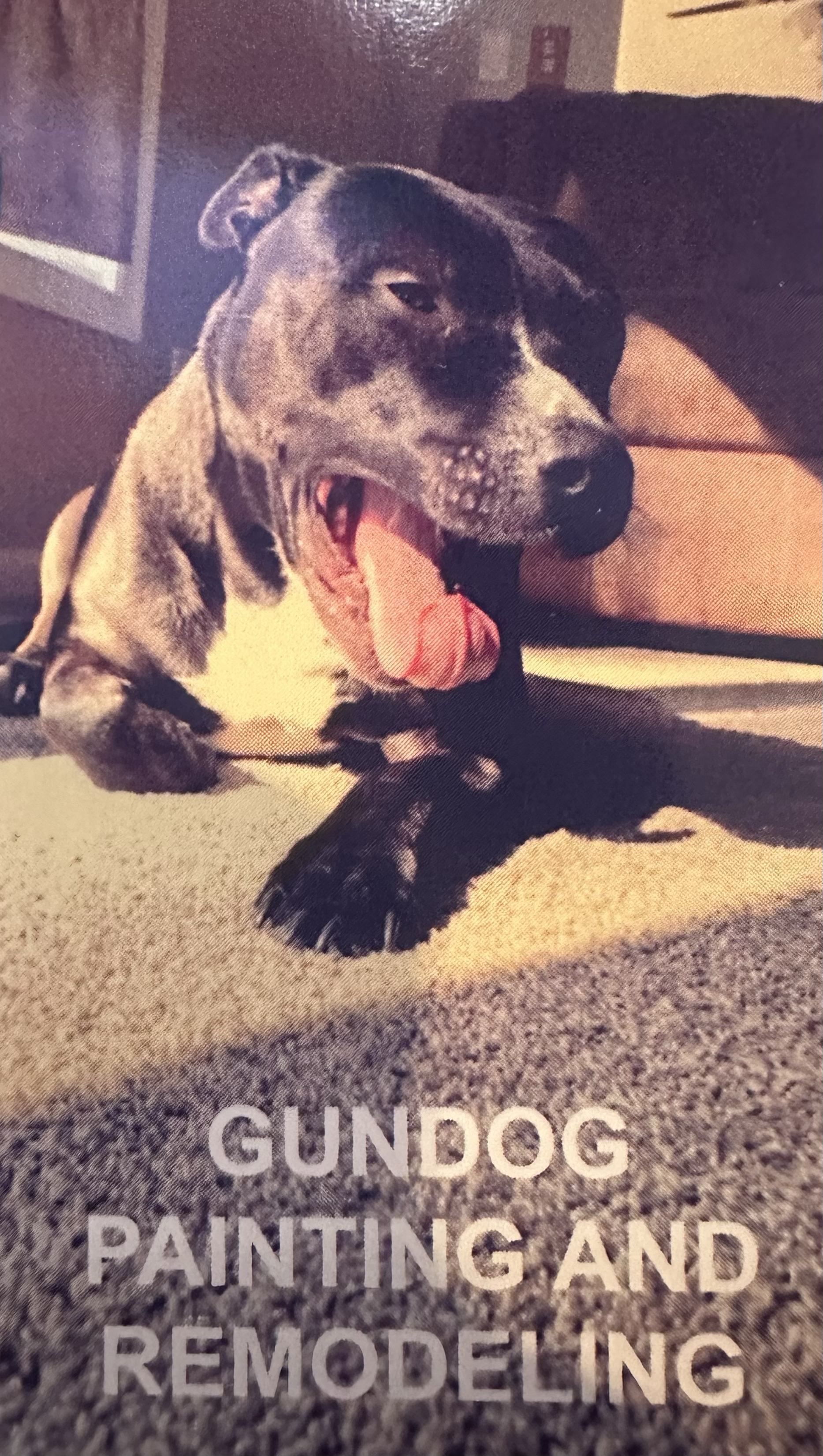 GUNDOG Painting and Remodeling logo