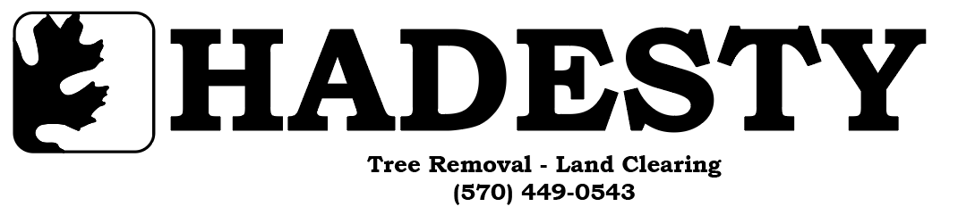 Hadesty LLC logo