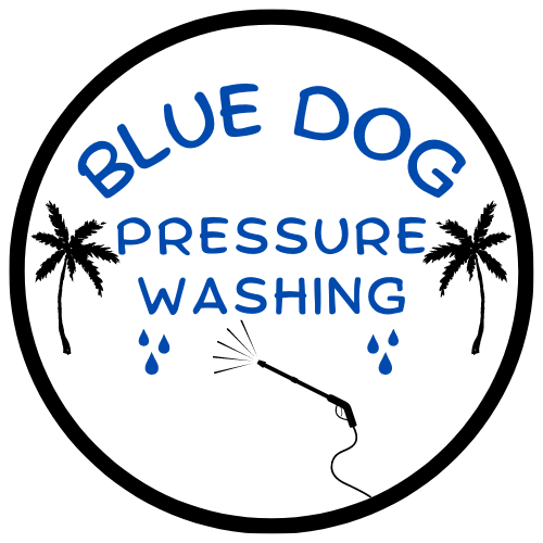 Avatar for Blue Dog Pressure Washing
