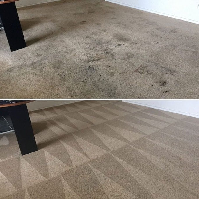 Avatar for CARPET CLEANING ORGANIC
